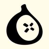 Fig Security