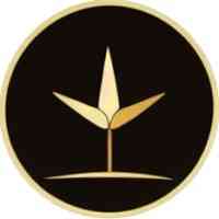 Glow Labs