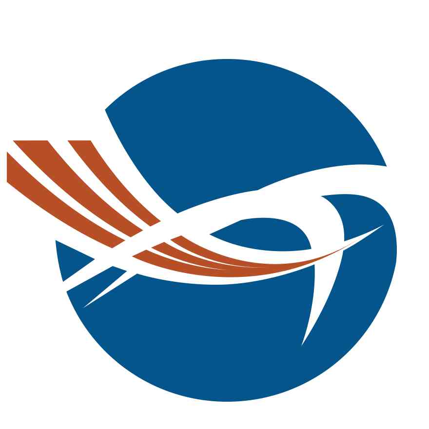 VIKTOR logo