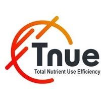 Tnue