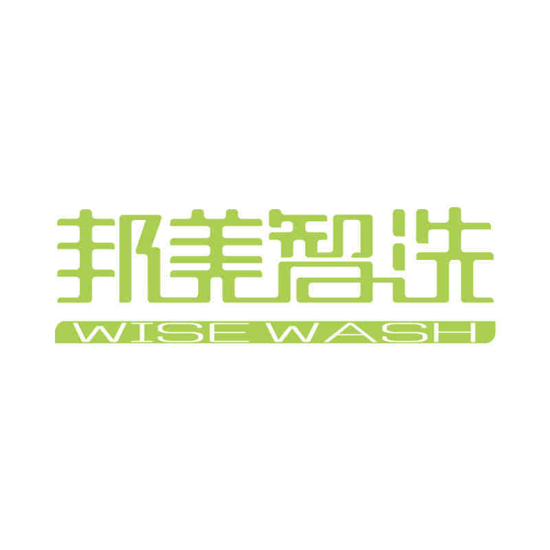 WiseWash