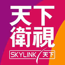 Sky Link TV