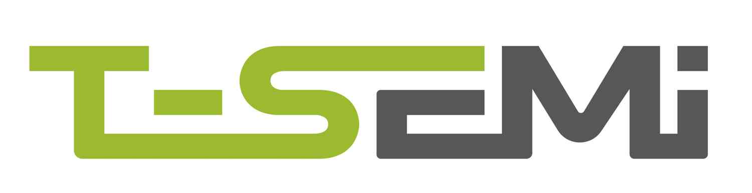Transcend Semiconductor