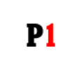 P1 International Inc.
