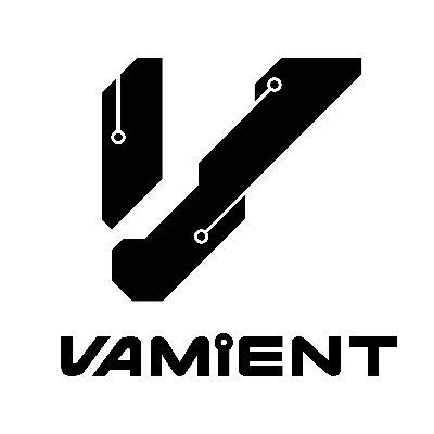 Vamient Capital Logo