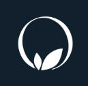 Ondara Directorship