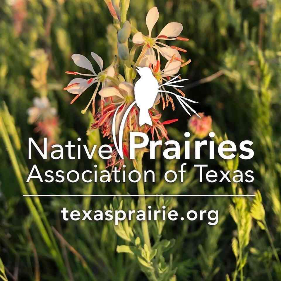 Native Prairies Association of Texas