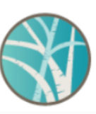 Bending Birch Behavioral Services LLC
