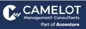 CAMELOT Management Consultants