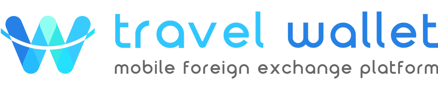 Travel Wallet