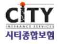 City Insurance Services