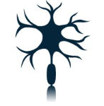 NerView Surgical Inc