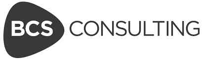 Business Control Solutions