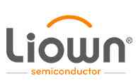 Liyang Semiconductor