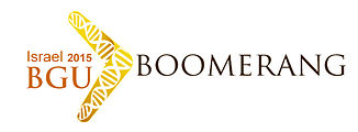 Boomerang