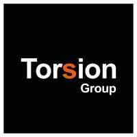 Torsion Group