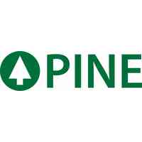 Pine Environmental Services