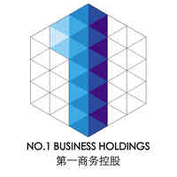 NO.1 BUSINESS HOLDINGS