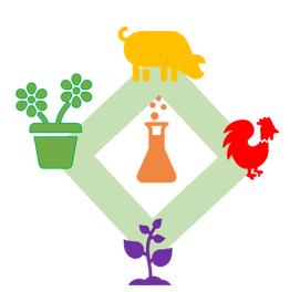 Biomolecular Science
