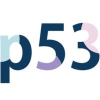 p53 Invest AS