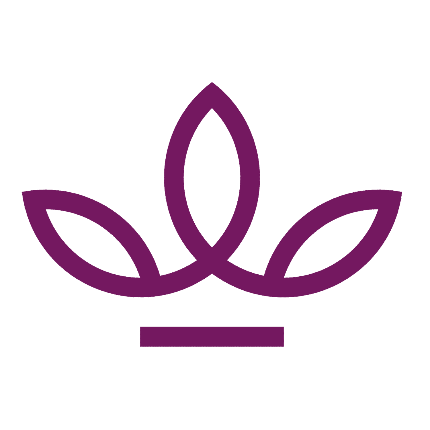 Royal Brisbane & Women's Hospital Foundation