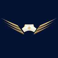 Air Nurses LLC