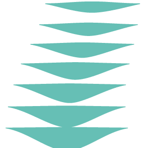 Ortivity GmbH