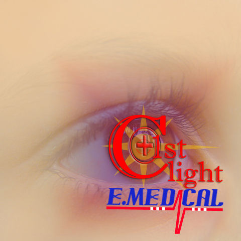 C1stLight EMS Pty Ltd.