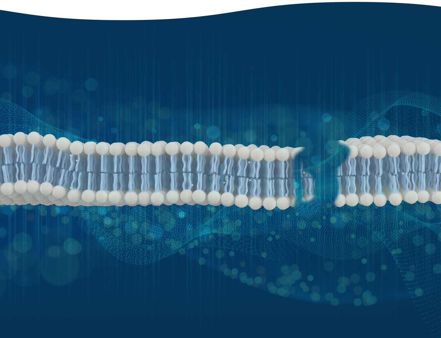 Topo Therapeutics, Inc.