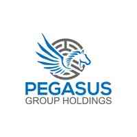 Pegasus Group Holdings