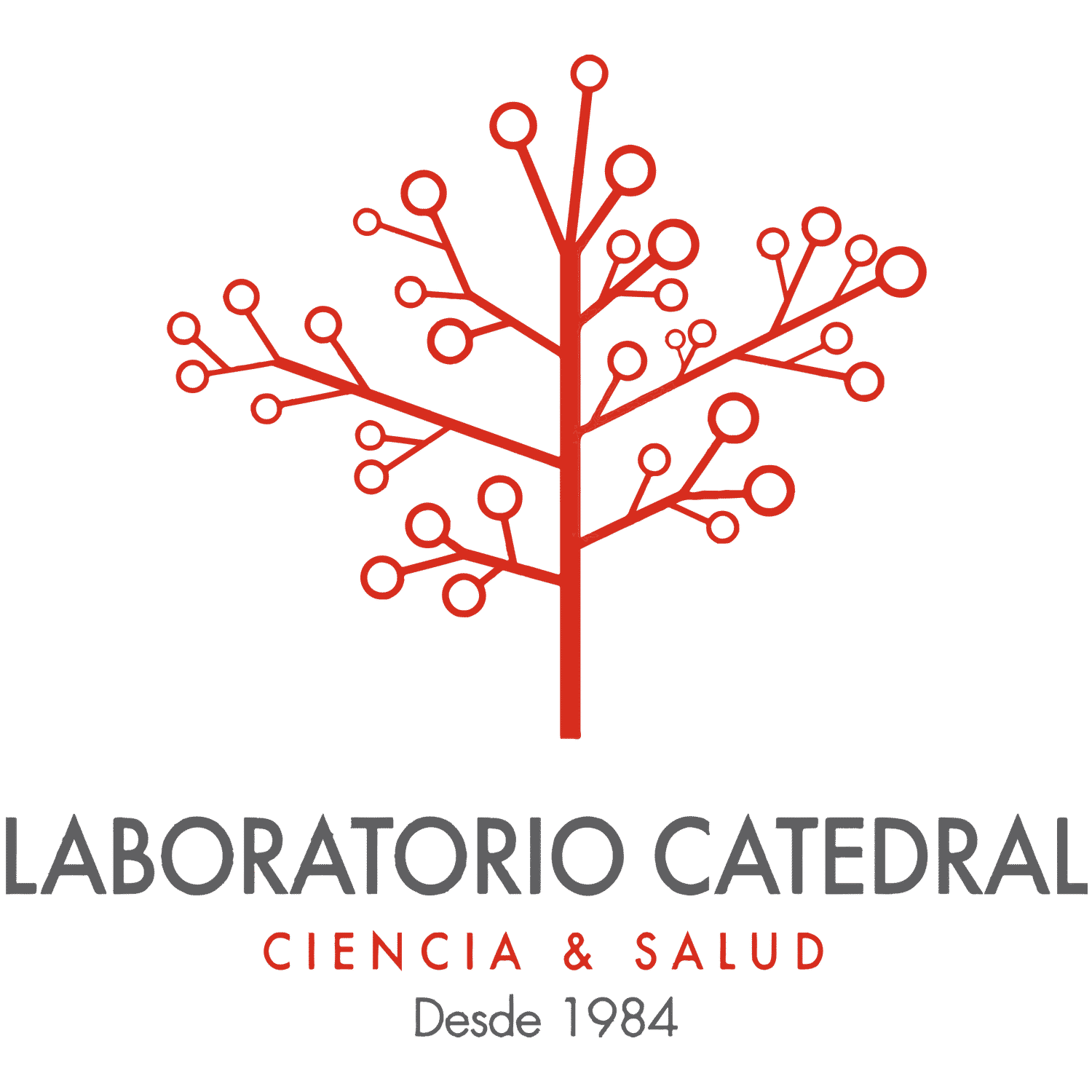 Laboratorio Catedral, Srl.