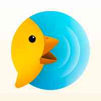 BirdyChat