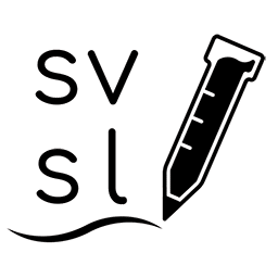 Silicon Valley Story Lab LLC