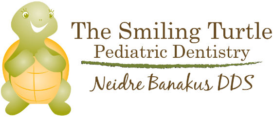 The Smiling Turtle Pediatric Dentistry