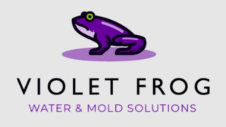 V Frog Enterprises LLC