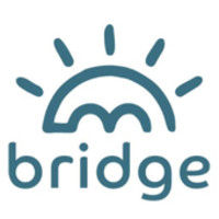 Bridge Groupe SASU