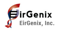 EirGenix, Inc.