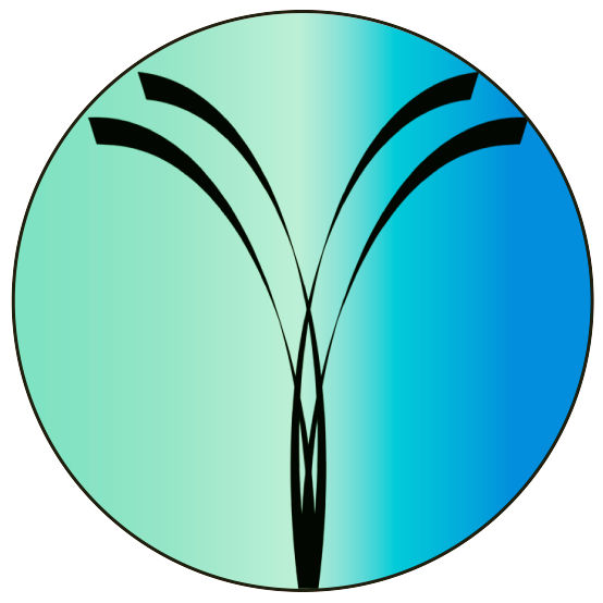 IPSB at Life Energy Institute