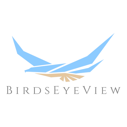 BirdsEyeView
