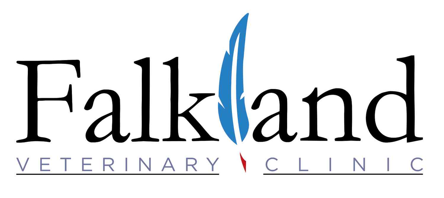Falkland Veterinary Clinic
