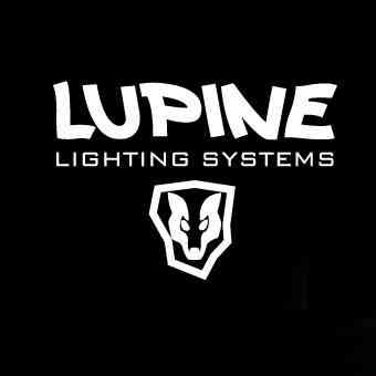 Lupine