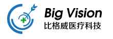 Big Vision