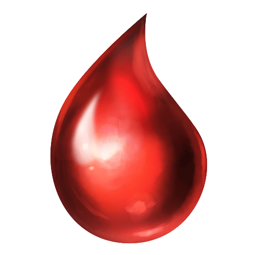 Blood