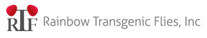 RAINBOW TRANSGENIC FLIES INC.