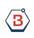 Biochem Oss B.V.