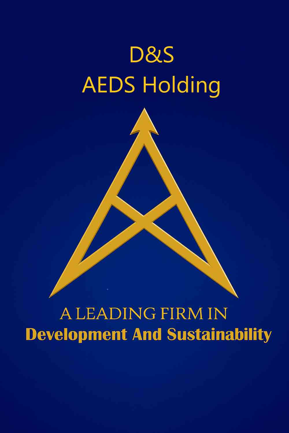 D&S - AEDS Holding