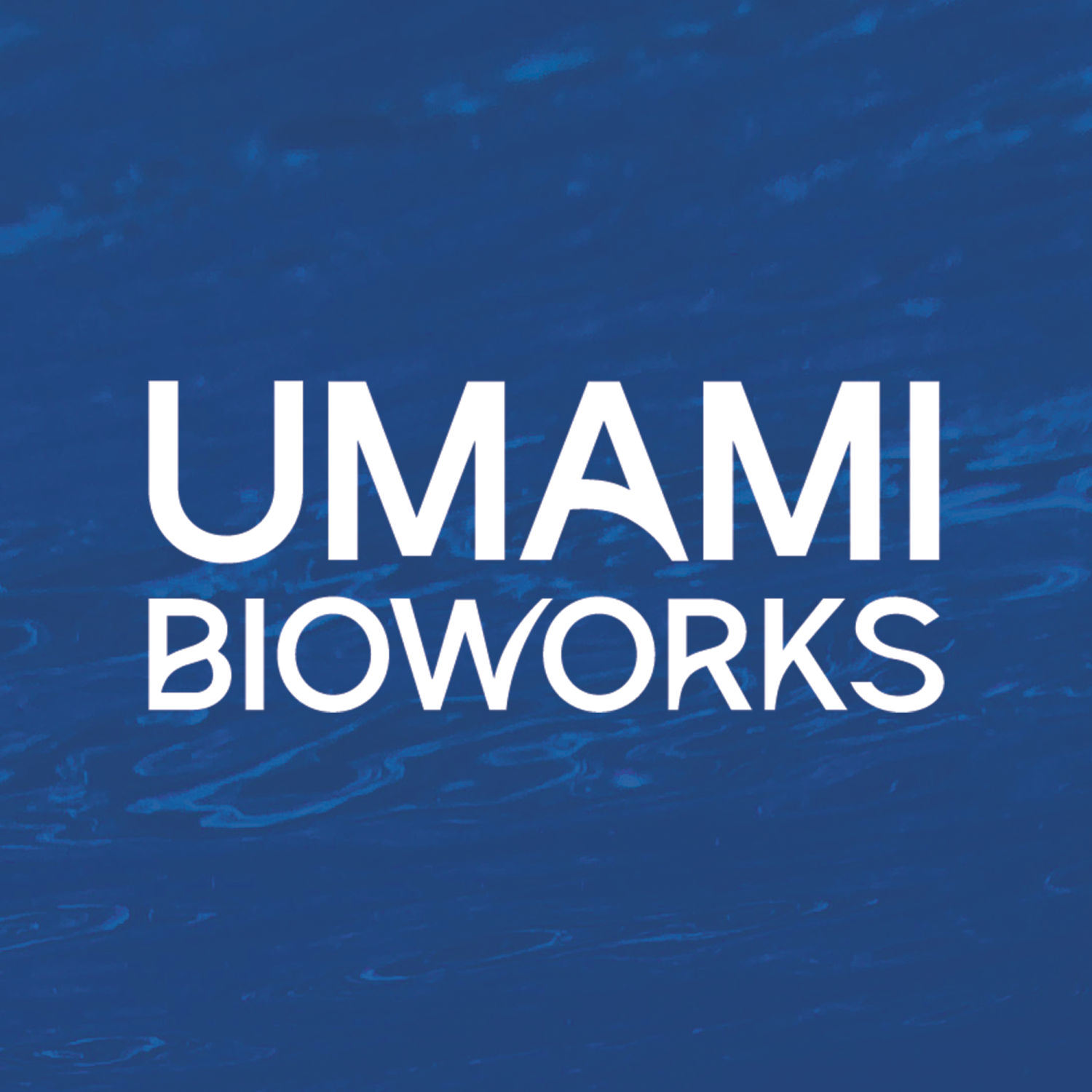 UMAMI Bioworks