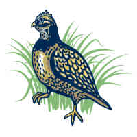 Quail Tools
