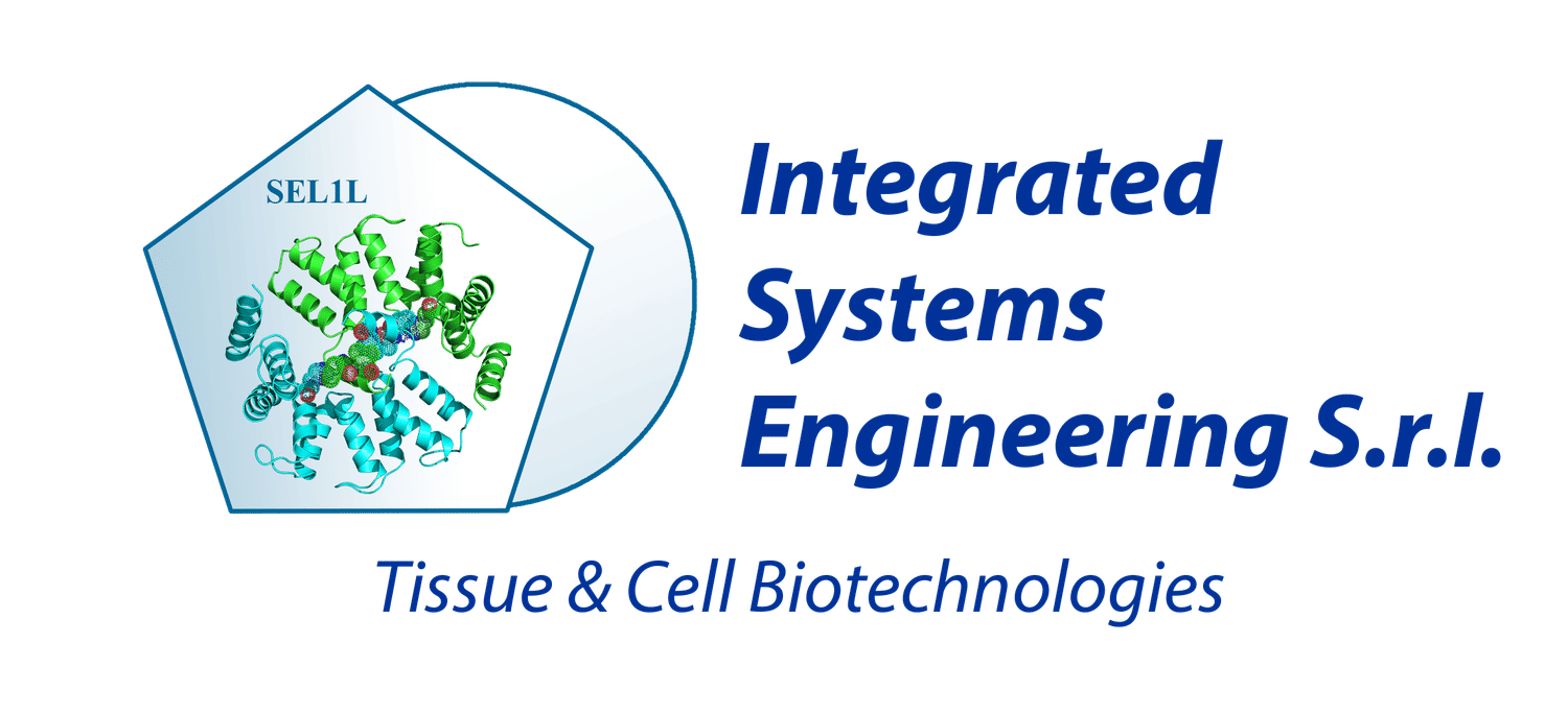 Integrated Systems Engineering Srl