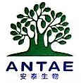 ANTAE